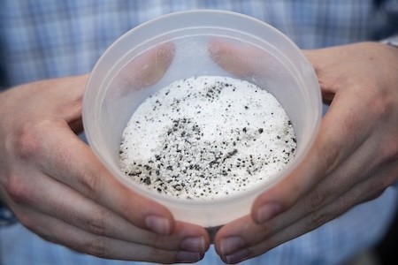 Hands hold a container of lunar regolith simulant