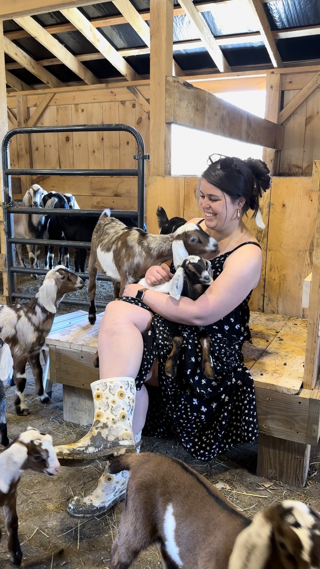 Marshall, smiling, sits on a wooden platform in a barn surrounded by small brown and white goats. Marshall is wearing a black patterned dress and flower-print galoshes. 