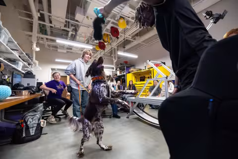 Students use computer vision technology to identify and track canine movements from inside UAlbany's Mobile Sensor Lab.