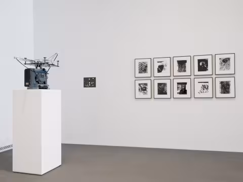 Carrie Schneider, Rapt, 2019, installation view