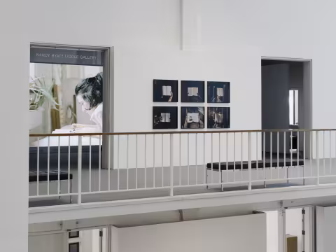 Carrie Schneider, Rapt, 2019, installation view