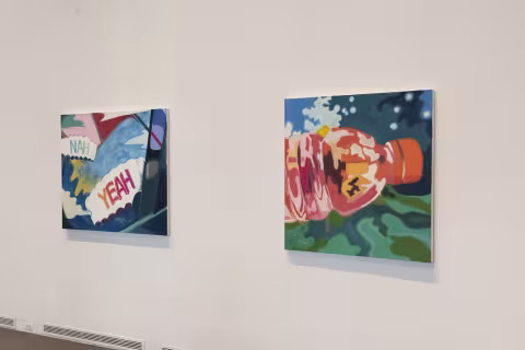 MFA Thesis 2019 Installation view