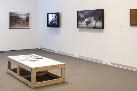 FLOW: Alumni Artists from Mohawk Hudson Region, 2018, Installation view