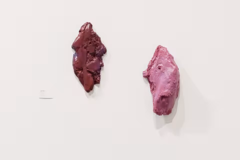 FLOW: Alumni Artists from Mohawk Hudson Region, 2018, Installation view