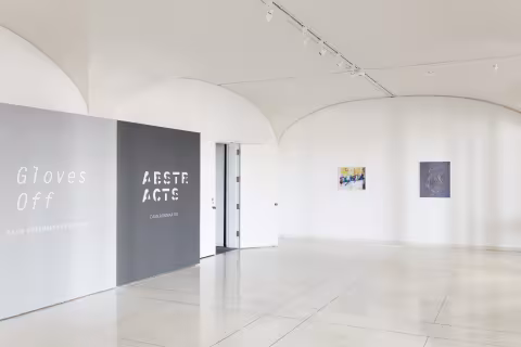 Cameron Martin: Abstracts, 2017