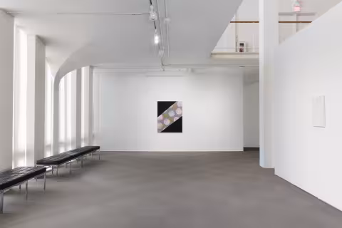 Cameron Martin: Abstracts, 2017