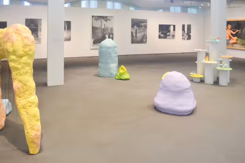 MFA Thesis 2016 Installation view