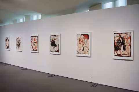 MFA Thesis 2017 Installation view