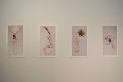 MFA Thesis 2017 Installation view