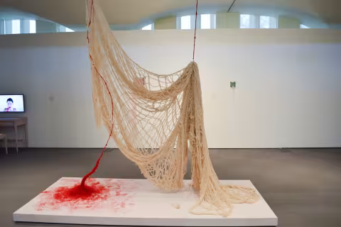 MFA Thesis 2017 Installation view