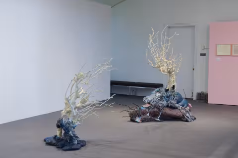 two coral like tree displays