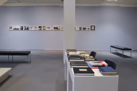 Race, Love, and Labor, 2016, install