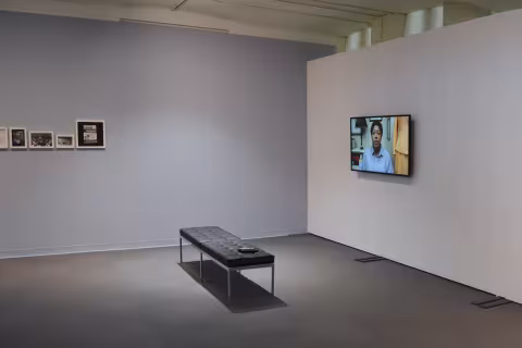 Race, Love, and Labor, 2016, install