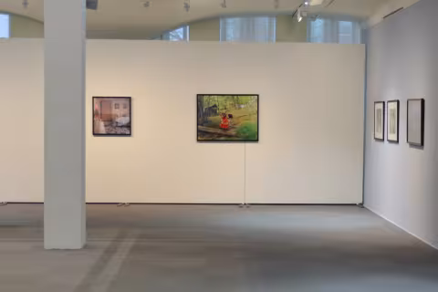 Race, Love, and Labor, 2016, install