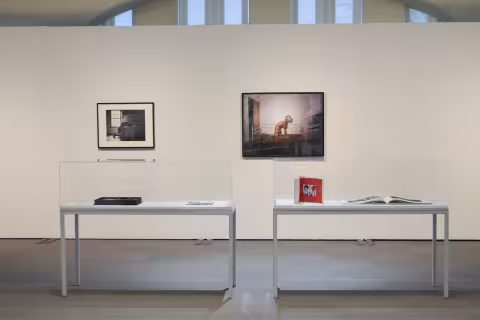 Race, Love, and Labor, 2016, install