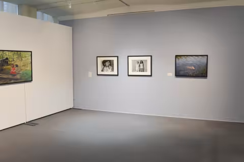 Race, Love, and Labor, 2016, install
