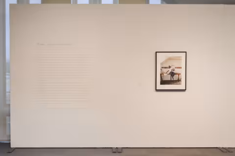 Race, Love, and Labor, 2016, install