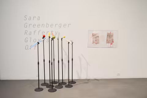 Rafferty, 2019, install