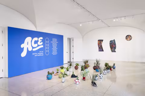 ACE, install view