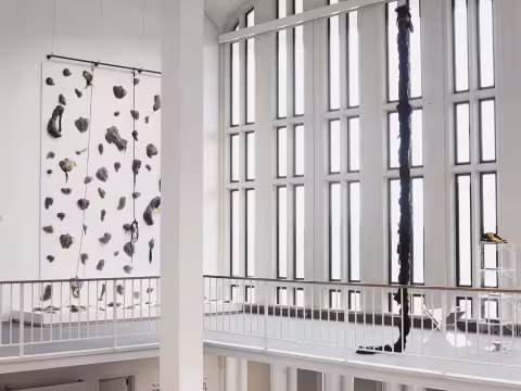 ACE, install view