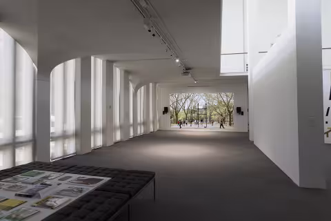 ACE, install view