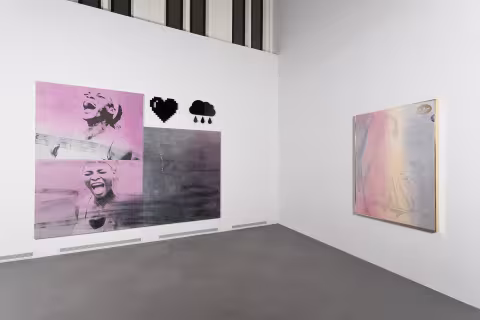 ACE, install view