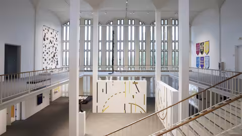 ACE, install view