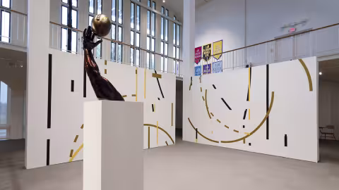 ACE, install view