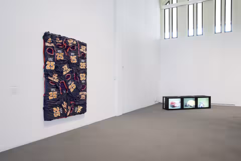 ACE, install view