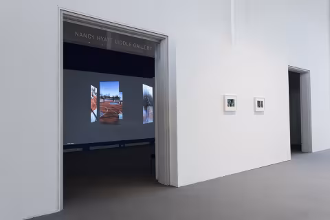 ACE, install view