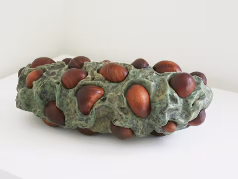 augstell robert, untitled seed 14