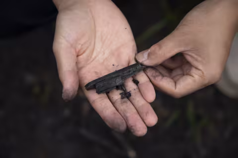 Dr. Rixiang Huang holding a piece of brush after a controlled burn at the Pine Bush Preserve