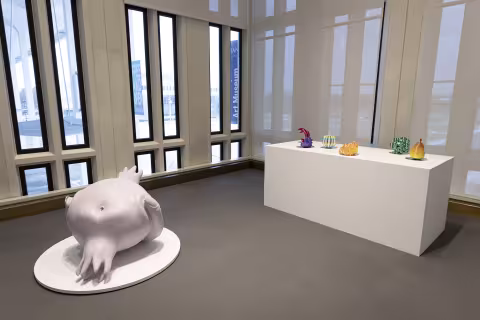 3d printed sculptures and framed photographs