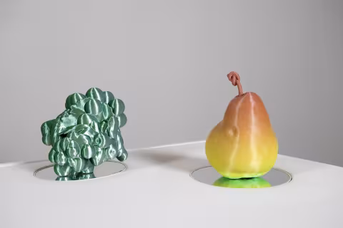 3d printed sculptures and framed photographs
