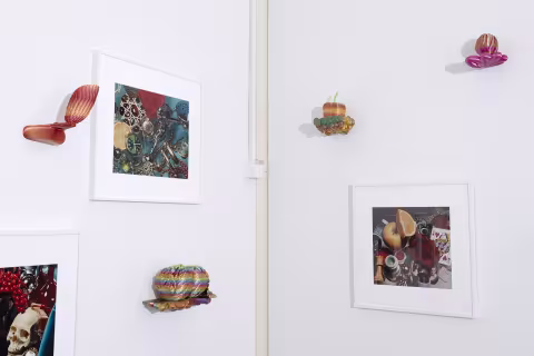 3d printed sculptures and framed photographs