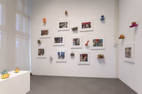 3d printed sculptures and framed photographs
