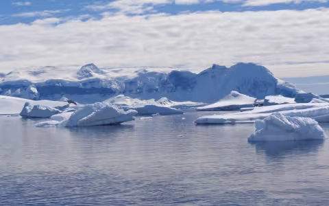 A photo of blue-white icebergs drifting on a calm ocean surface.