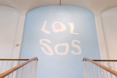 Sara Magenheimer documentation
