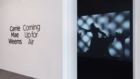 Carrie Mae Weems Installation photos