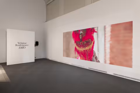 Yelaine Rodriguez installation
