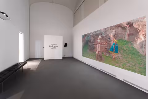 Yelaine Rodriguez installation