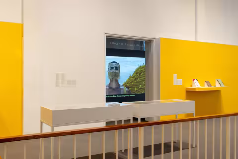 Yelaine Rodriguez installation