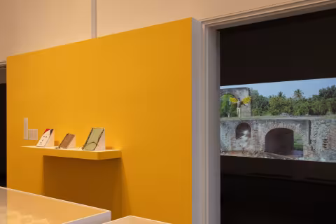Yelaine Rodriguez installation