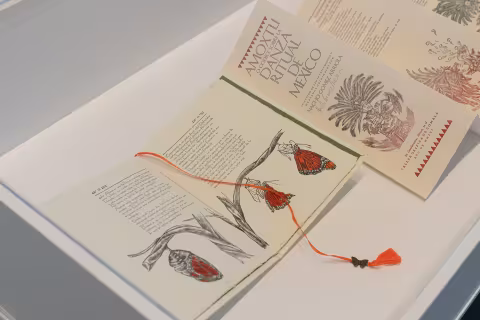 Artist book installation