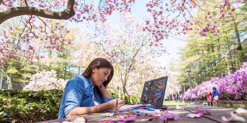 Student working on a laptop in the Azalea Garden.