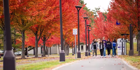 A group of students walking on the purple path together in the fall. 