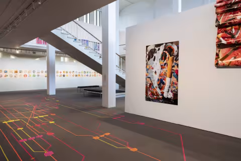MFA 2024 Installation views