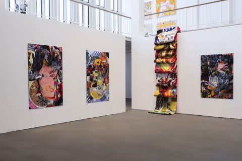 MFA 2024 Installation views