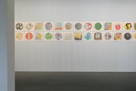MFA 2024 Installation views