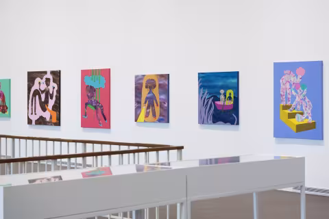MFA 2024 Installation views